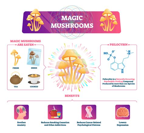 The Science Behind the Psychedelic Effects of Magic Mushroom Drinks